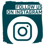 Instagram Follow Button